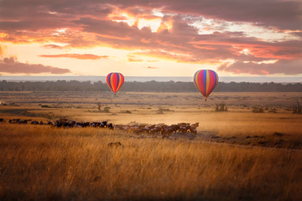 Maasai Mara