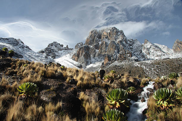 Mount Kenya